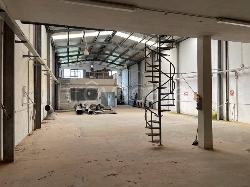 immagine annuncio 4 di 12