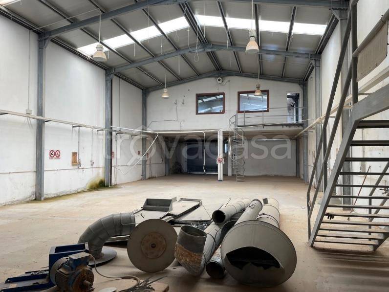 immagine annuncio 5 di 12