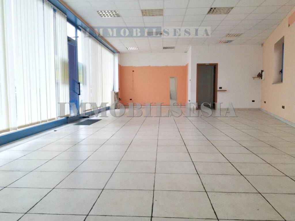 immagine annuncio 7 di 14