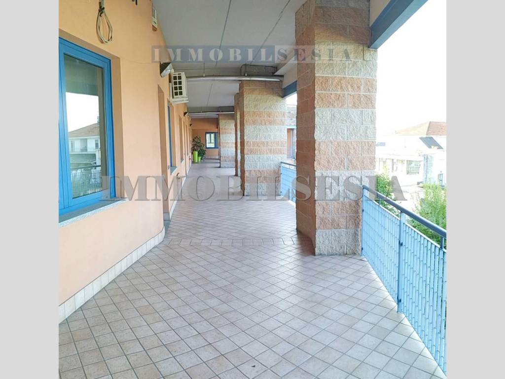 immagine annuncio 11 di 14