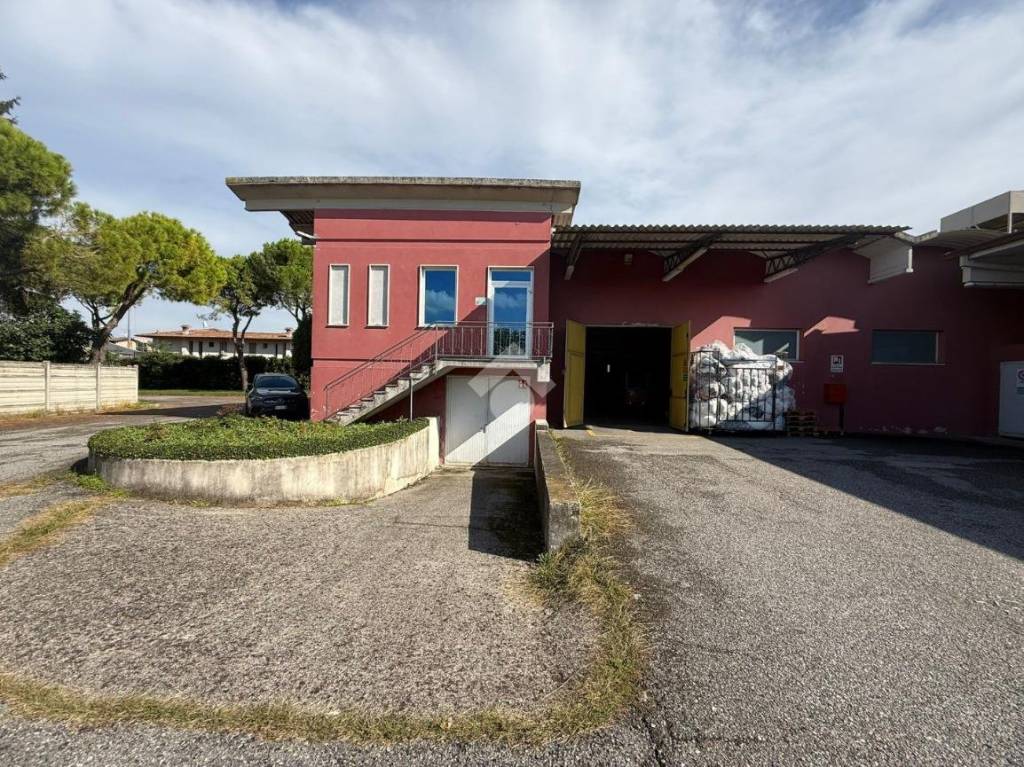 immagine annuncio 11 di 15