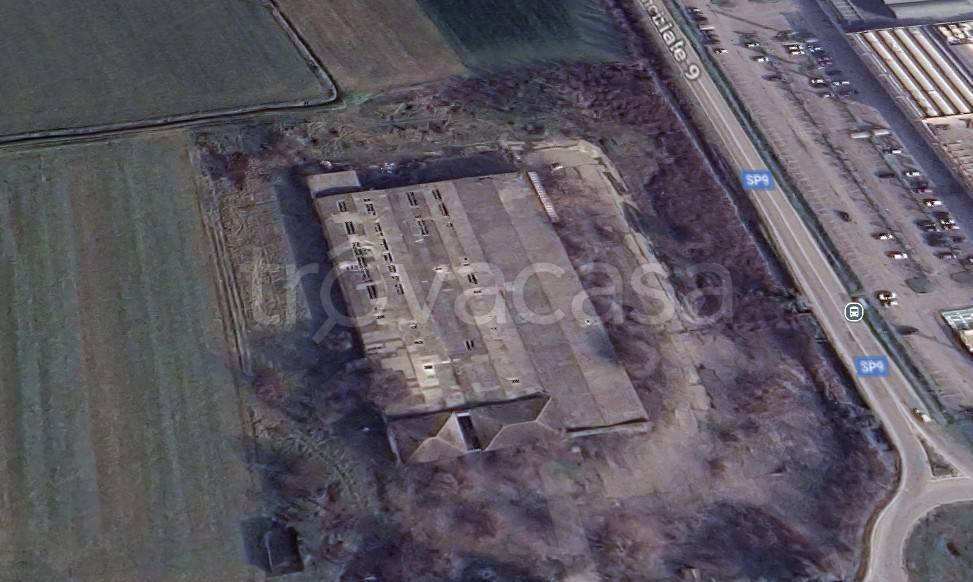 immagine annuncio 1 di 9