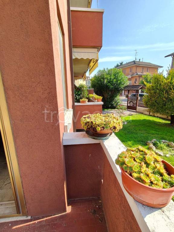 immagine annuncio 7 di 15