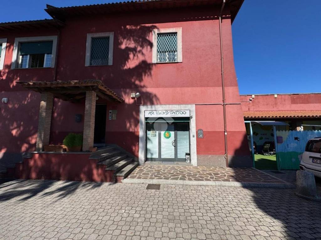 immagine annuncio 10 di 11