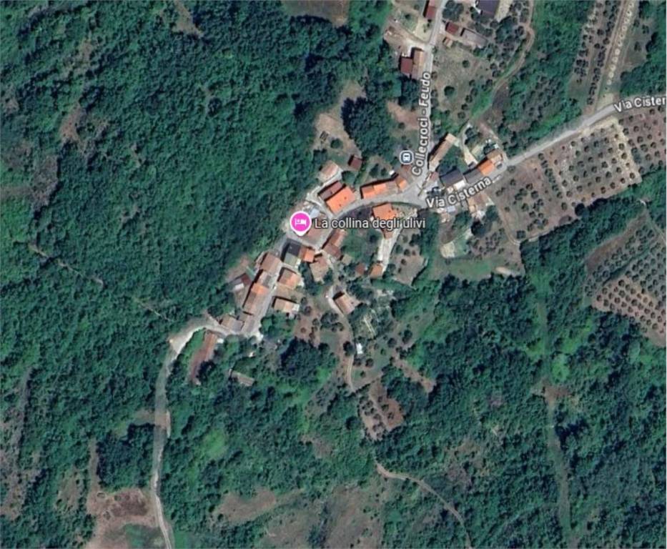 immagine annuncio 3 di 11