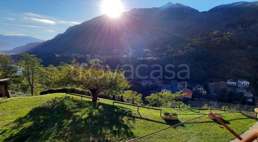 immagine annuncio 5 di 6