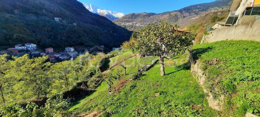 immagine annuncio 2 di 6