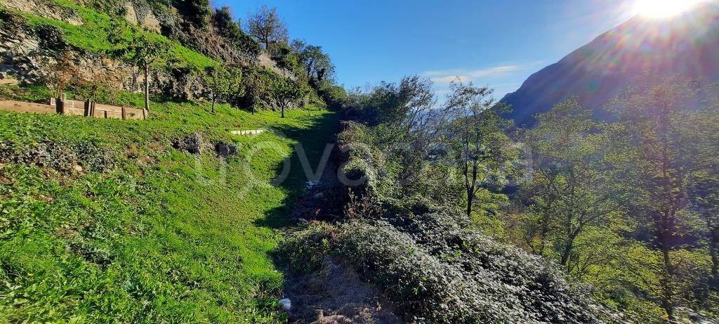 immagine annuncio 3 di 6