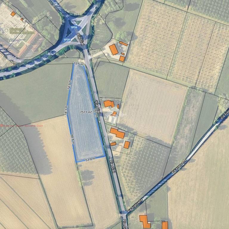 immagine annuncio 1 di 8