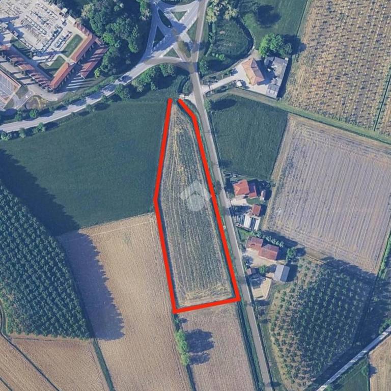 immagine annuncio 2 di 8