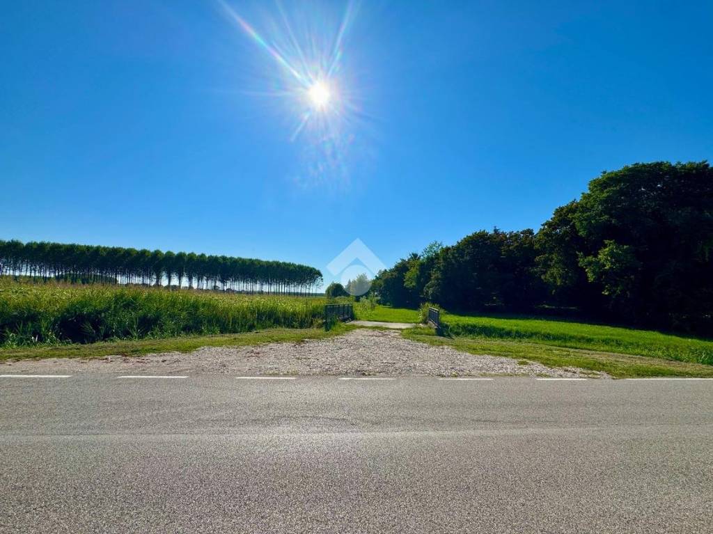 immagine annuncio 6 di 8