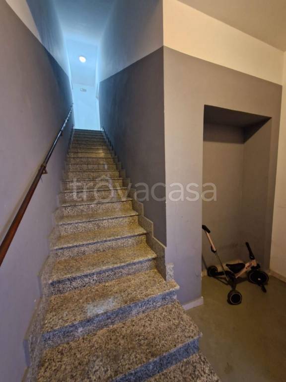 immagine annuncio 3 di 14
