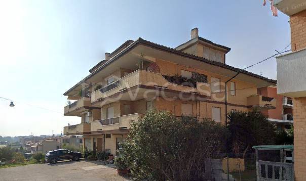 immagine annuncio 2 di 8