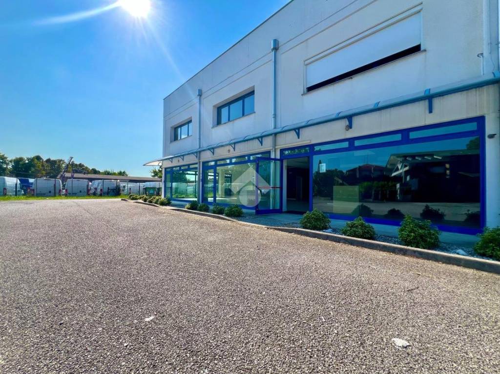 immagine annuncio 2 di 15