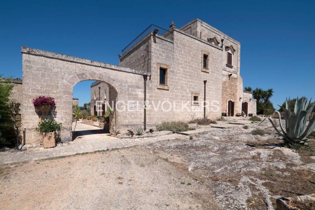 immagine annuncio 10 di 13