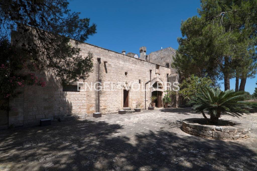 immagine annuncio 12 di 13