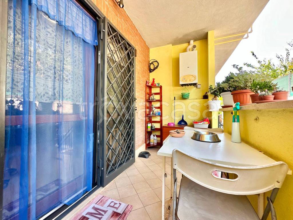 immagine annuncio 9 di 15