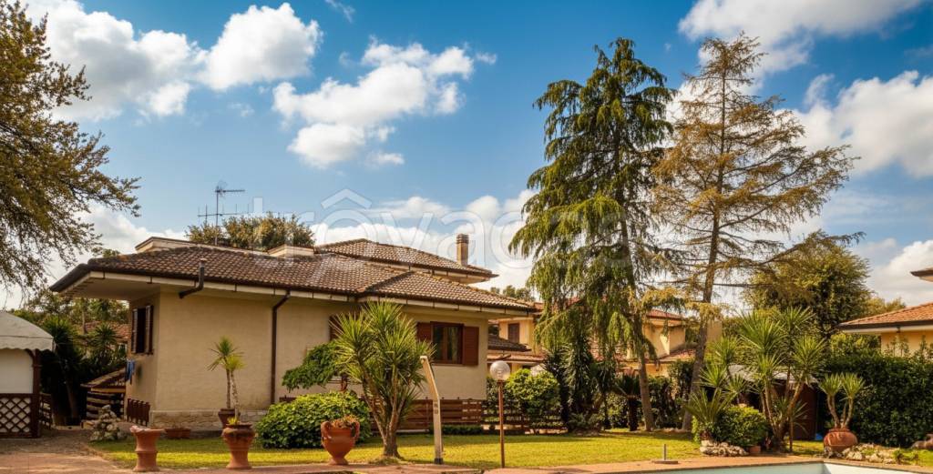 immagine annuncio 6 di 12