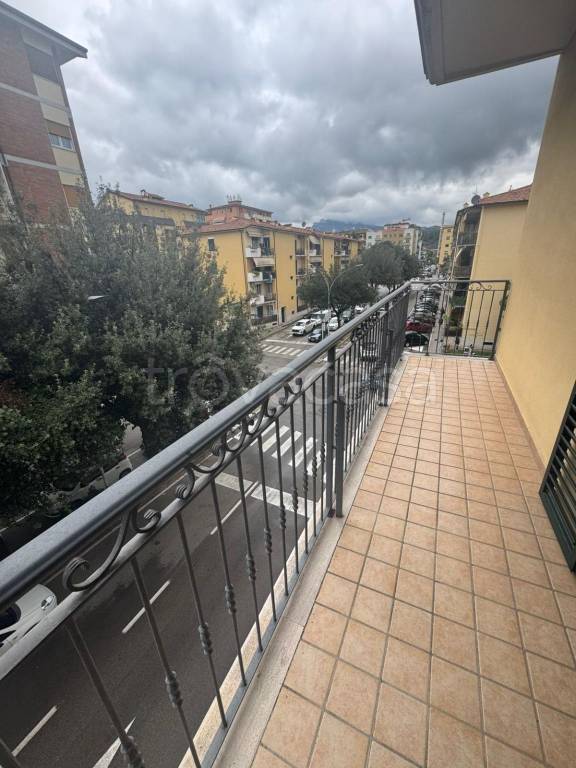 immagine annuncio 4 di 8