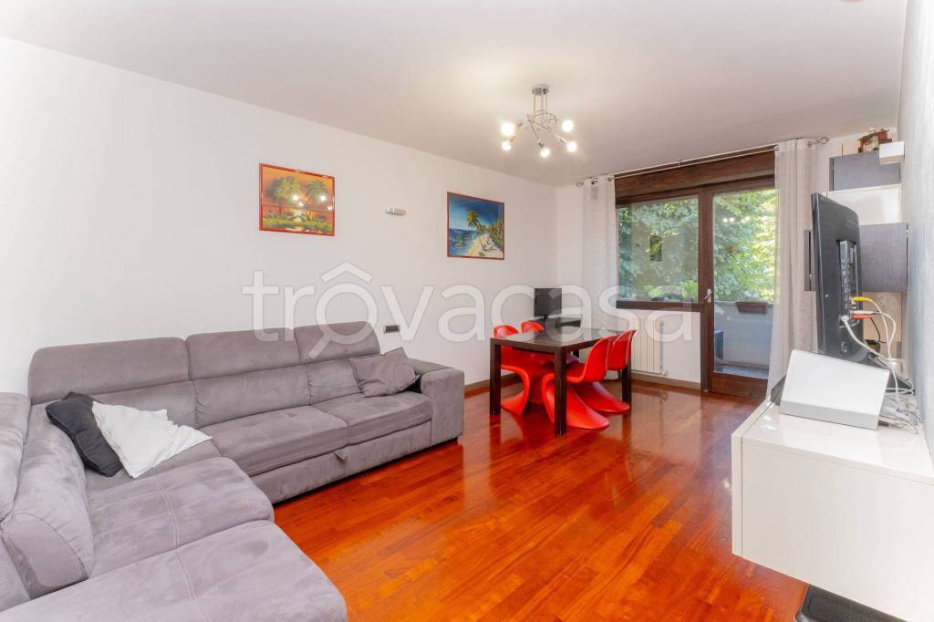 immagine annuncio 5 di 15