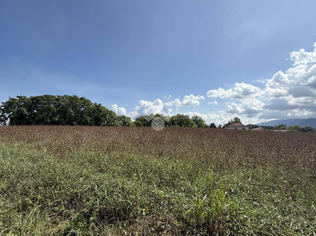 immagine annuncio 8 di 14