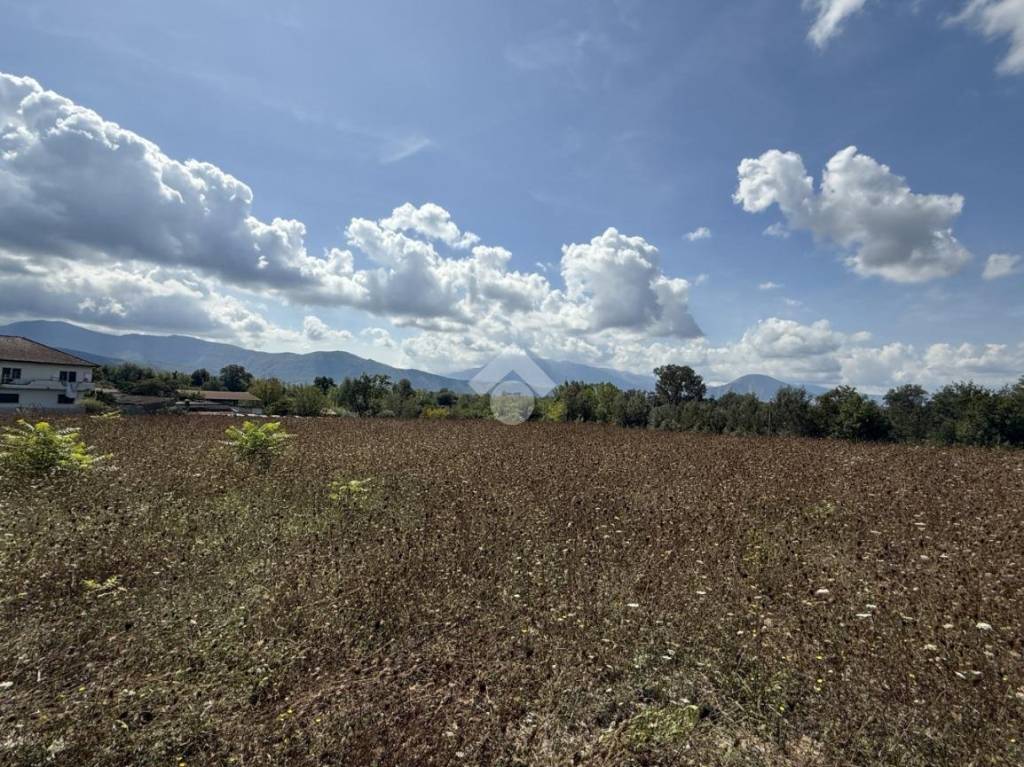 immagine annuncio 9 di 14