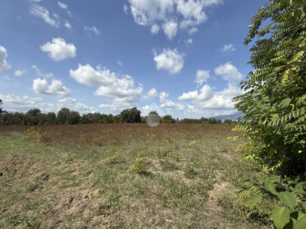 immagine annuncio 10 di 14