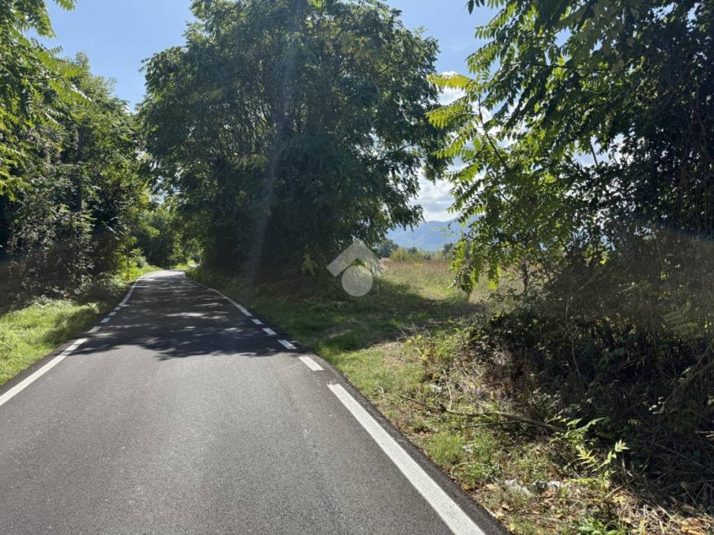 immagine annuncio 12 di 14