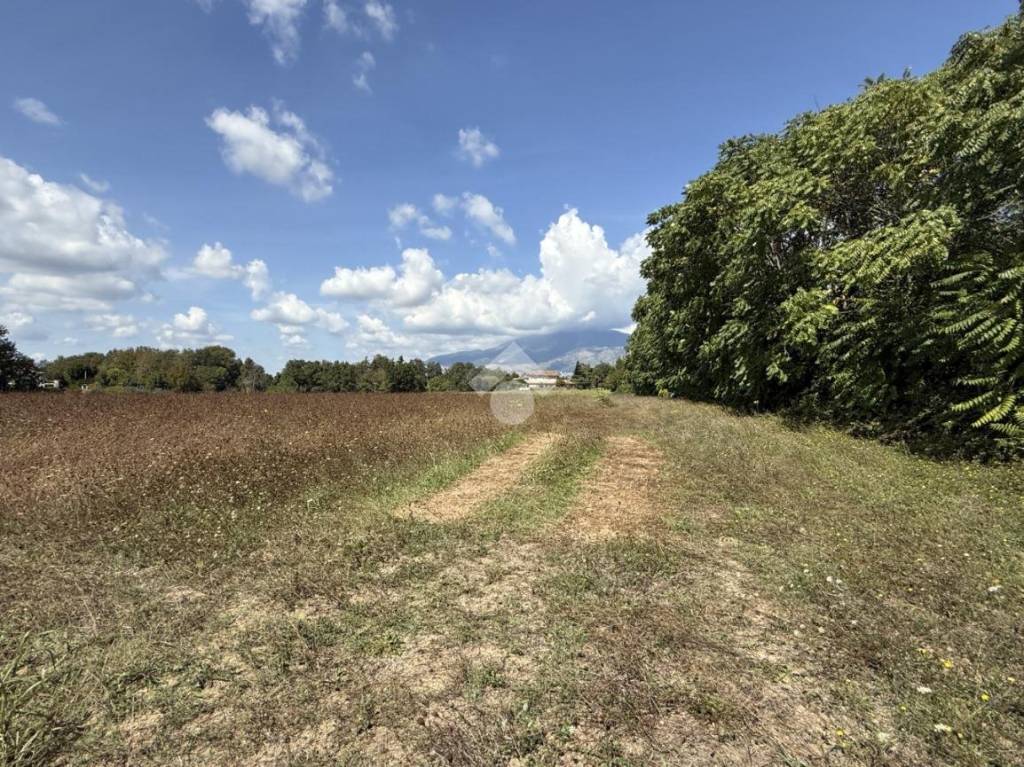 immagine annuncio 13 di 14