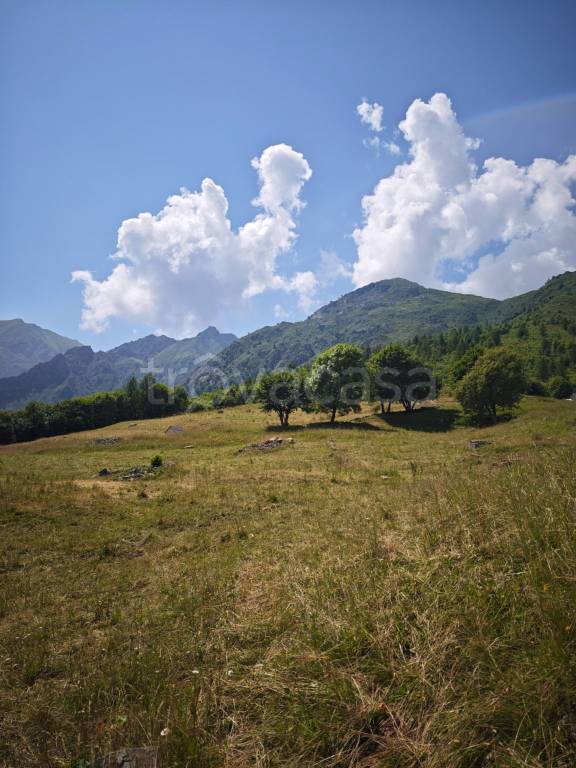 immagine annuncio 4 di 13
