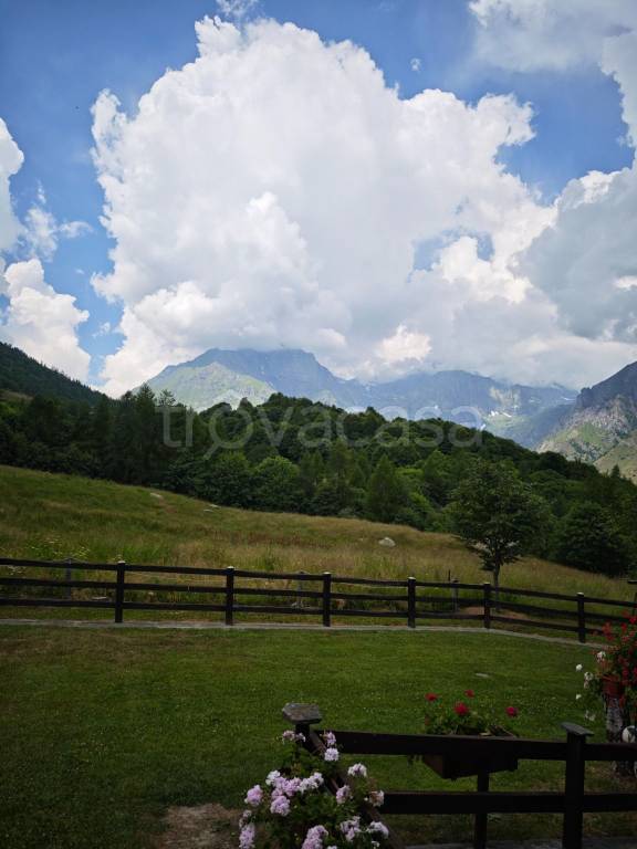 immagine annuncio 9 di 13