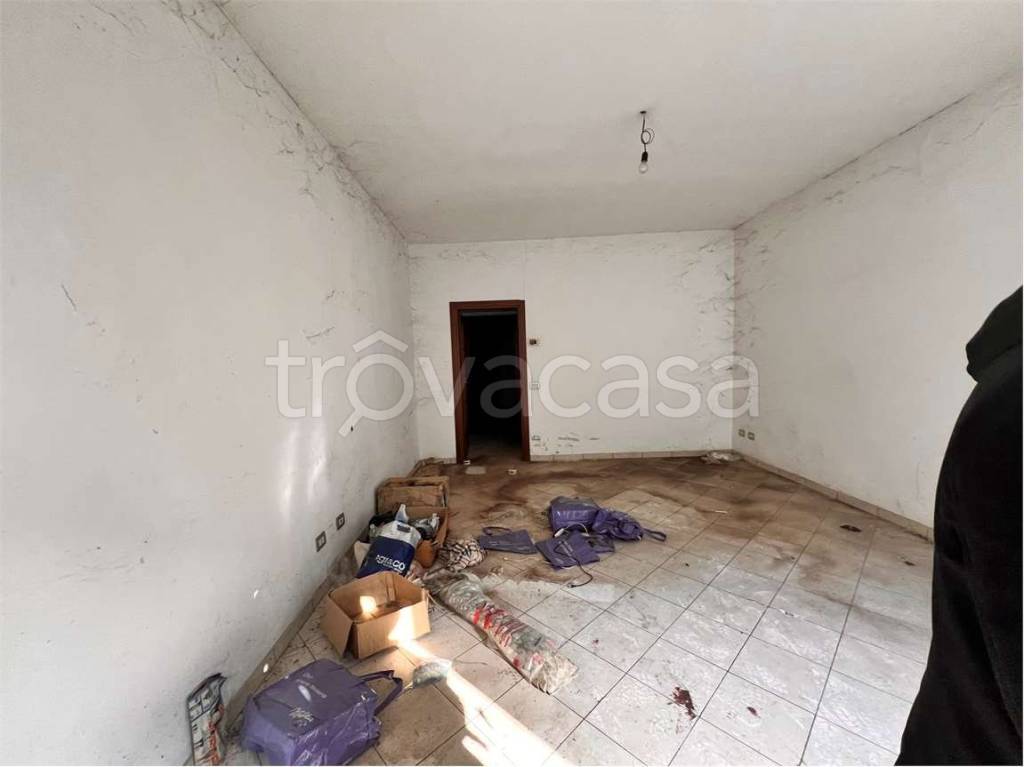 immagine annuncio 11 di 14