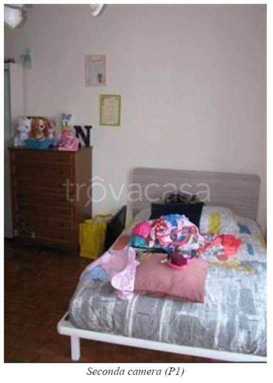 immagine annuncio 9 di 13