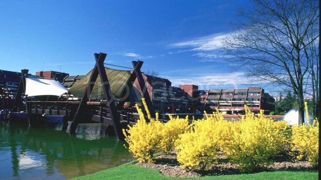 immagine annuncio 2 di 4