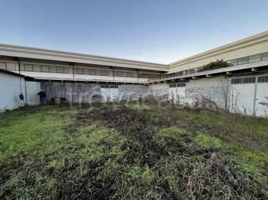 immagine annuncio 5 di 7