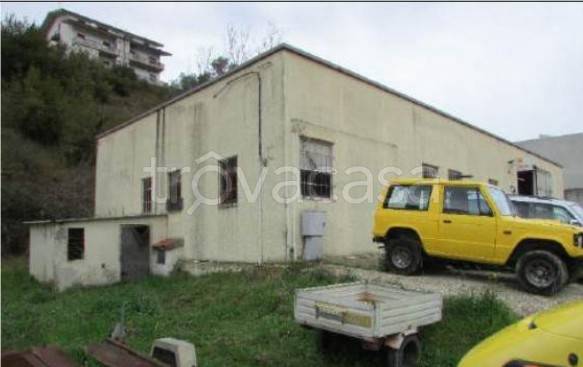immagine annuncio 3 di 9