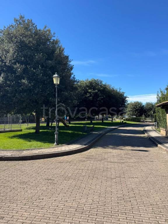 immagine annuncio 9 di 12