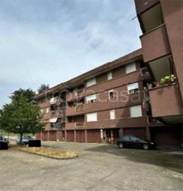 immagine annuncio 1 di 14