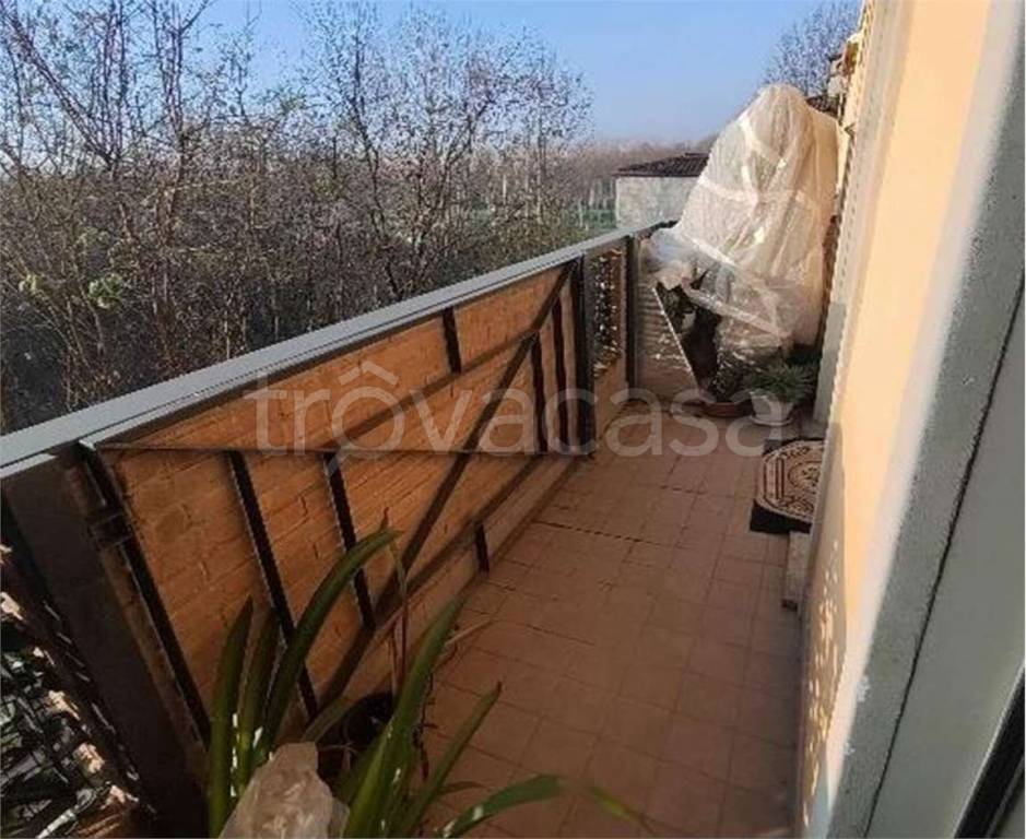 immagine annuncio 10 di 13