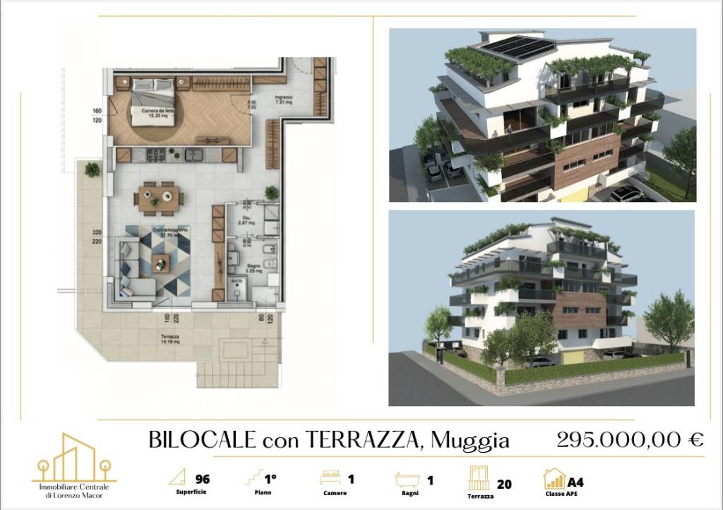 immagine annuncio 6 di 15