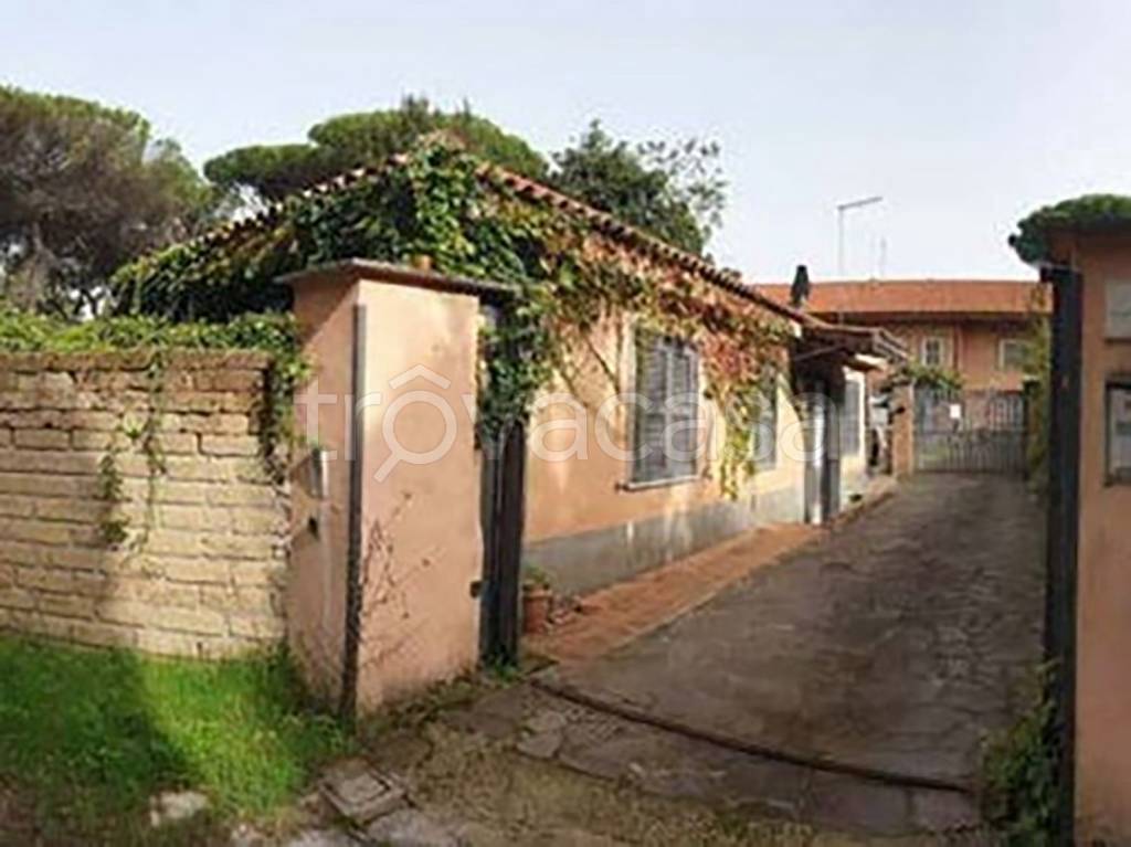 immagine annuncio 4 di 12