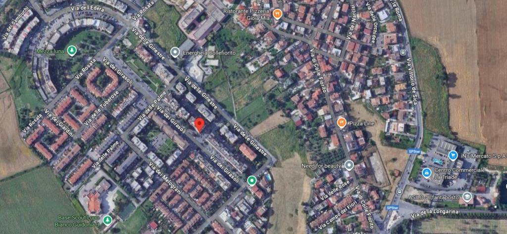 immagine annuncio 12 di 14