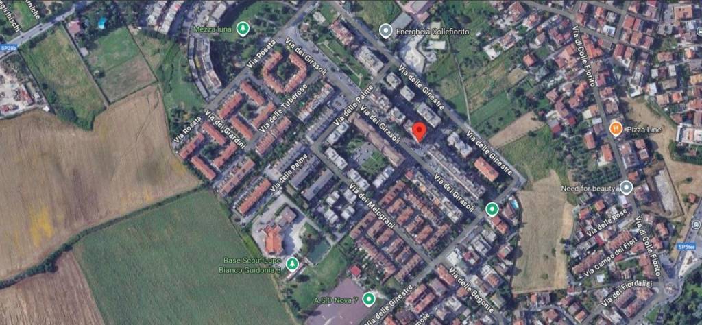 immagine annuncio 13 di 14