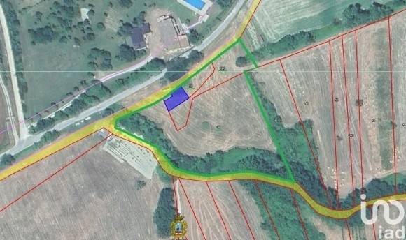 immagine annuncio 5 di 10