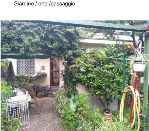 immagine annuncio 13 di 14