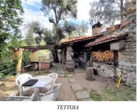immagine annuncio 10 di 14