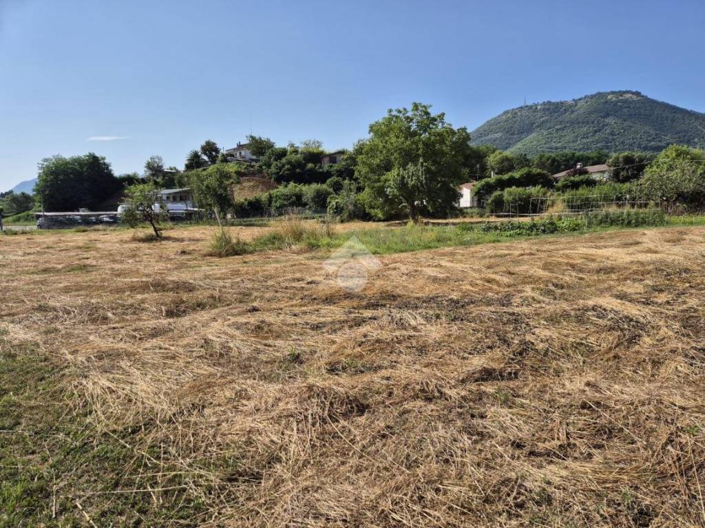 immagine annuncio 7 di 13