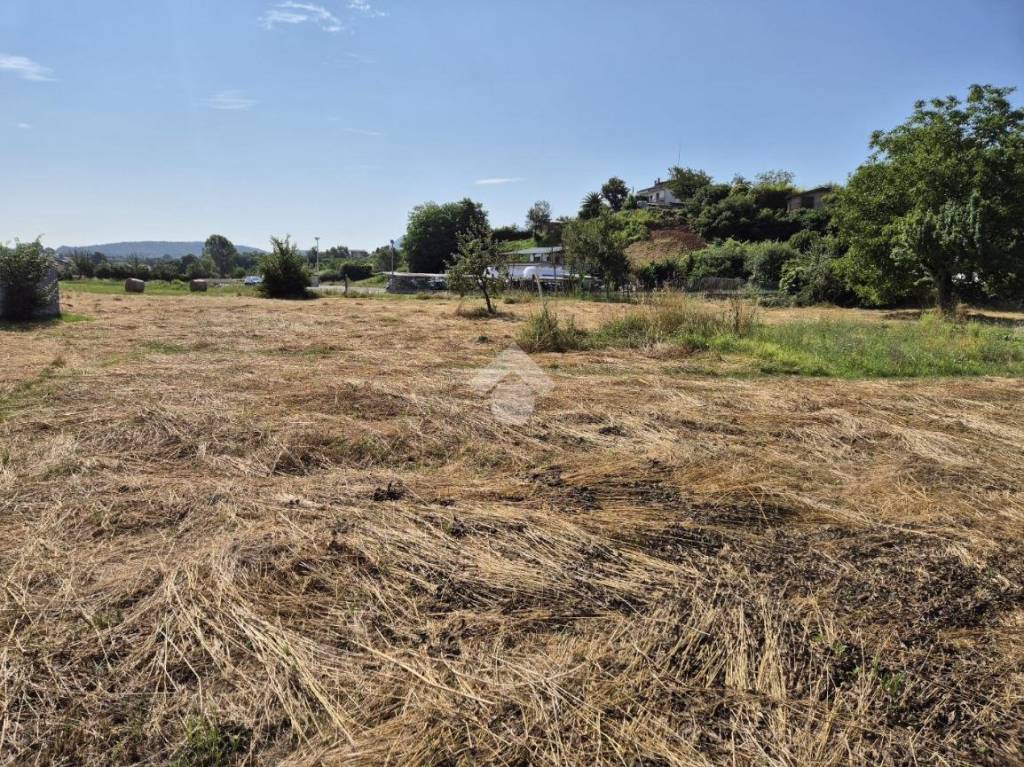 immagine annuncio 8 di 13