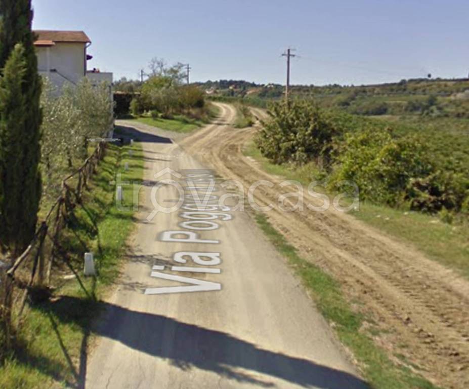 immagine annuncio 8 di 12