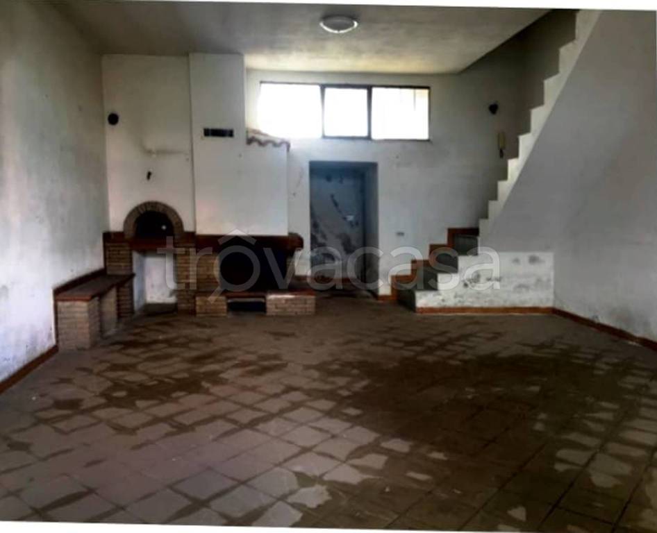 immagine annuncio 3 di 12